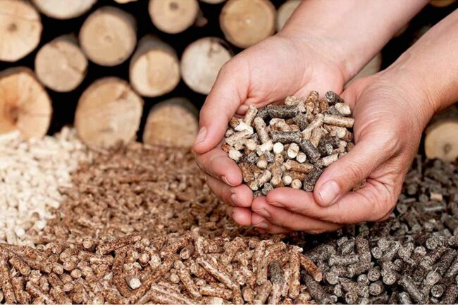Hands holding biomass pellets with a pile of the best grilling pellet brands in the foreground and stacked logs in the background, symbolizing sustainable energy sources.