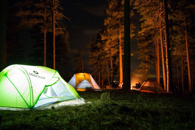 A peaceful night-time camping scene with illuminated tents under a starry sky amidst towering pine trees, featuring Best Outdoor Gear.